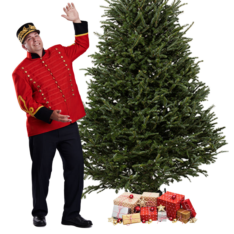 Sapin Fraser