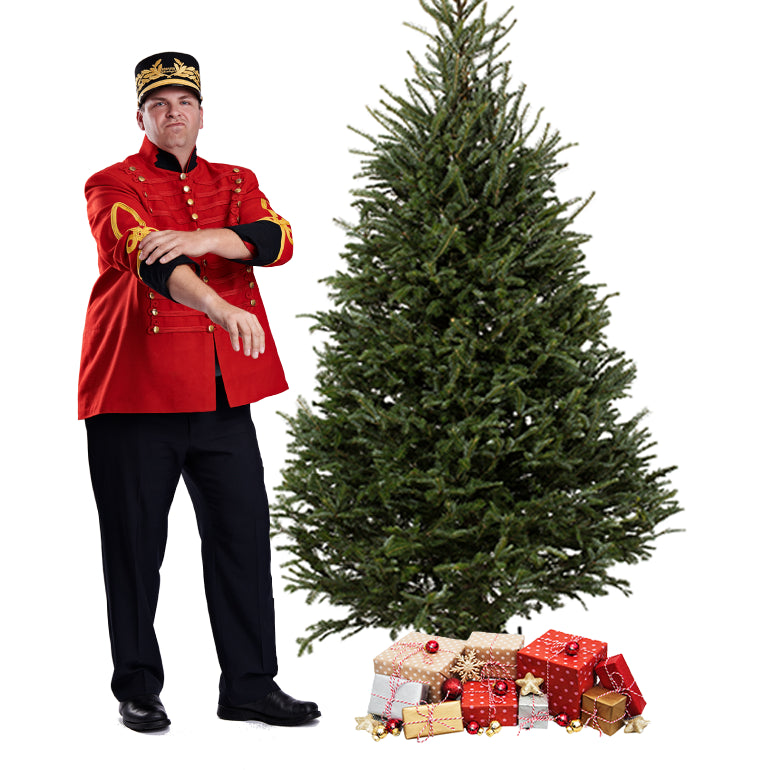 Sapin Fraser