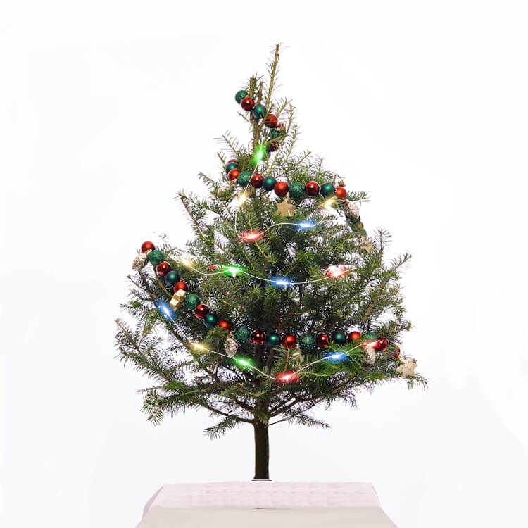 sapin_miniature_deco_sans_pied_avec_lumiere.jpg