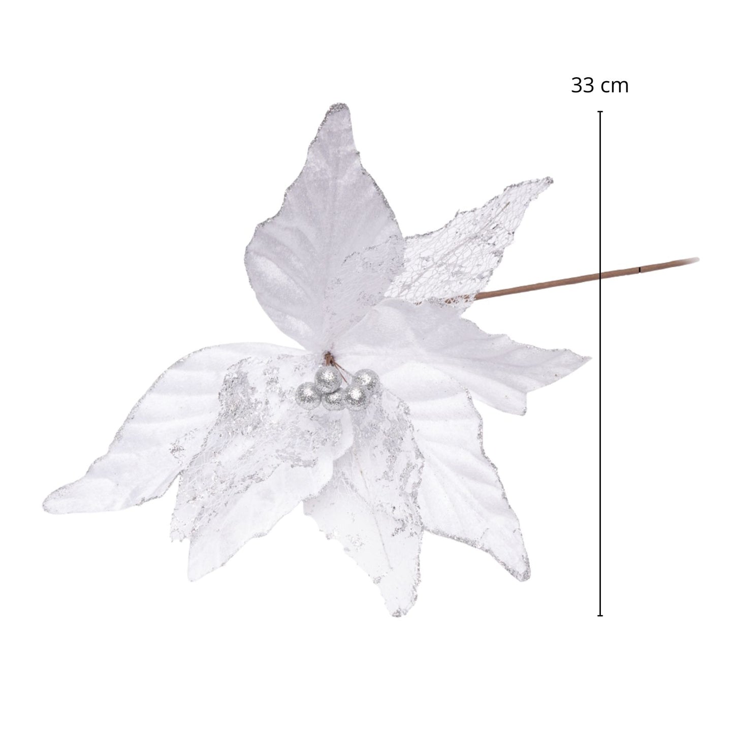 poinsettia blanc.jpg