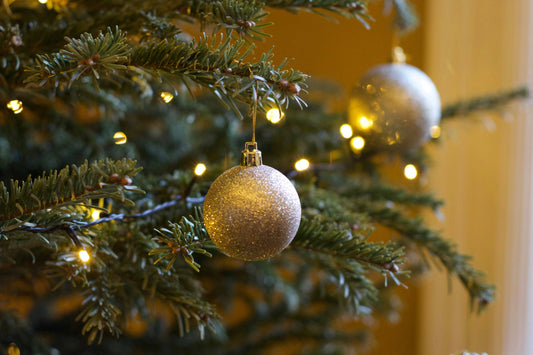 4 raisons de commander son sapin de Noël tôt