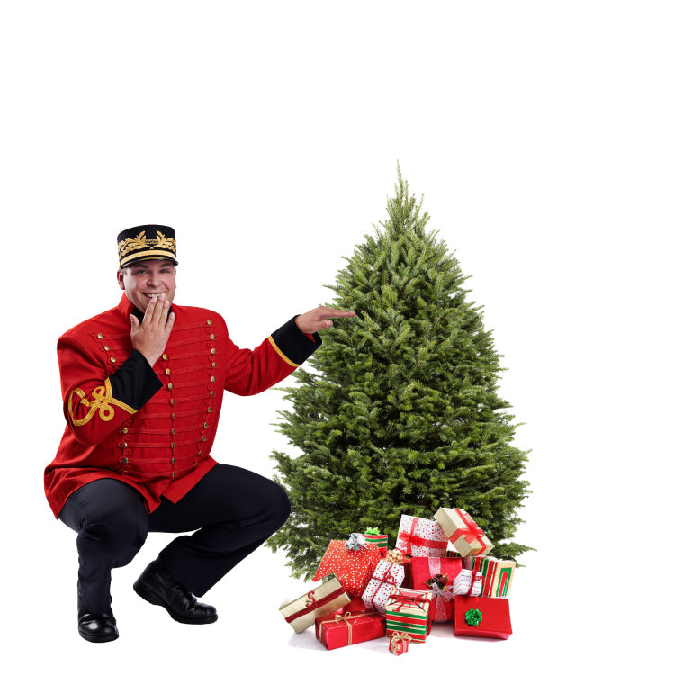 Sapin de Noël Baumier