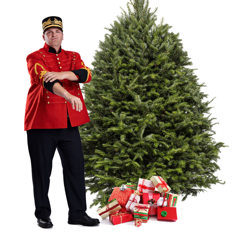 Sapin de Noël Baumier