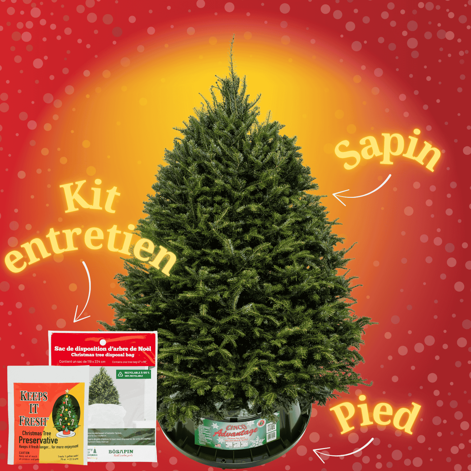 kit départ français.png