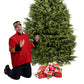Sapin de Noël Baumier