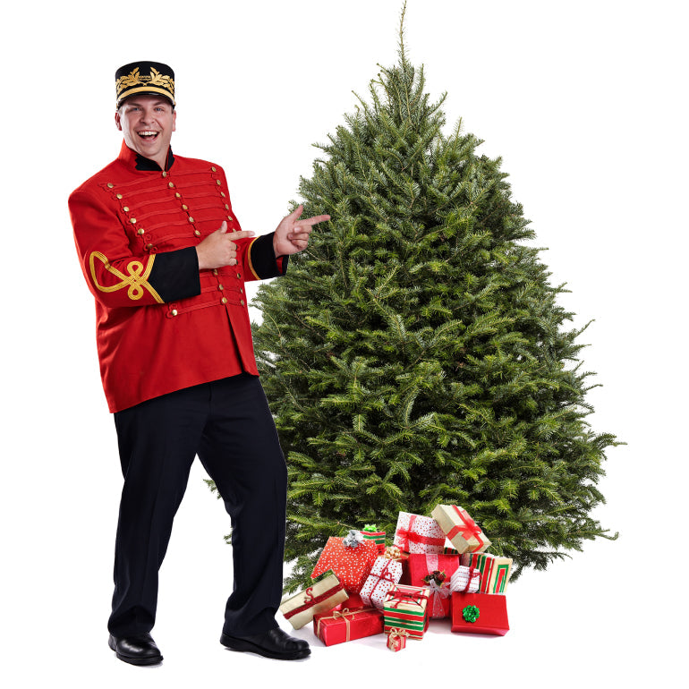 Sapin de Noël Baumier