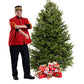 Sapin de Noël Baumier