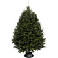 Sapin de Noël Baumier
