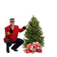 Sapin de Noël Baumier