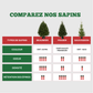 Sapin de Noël Sauvageon
