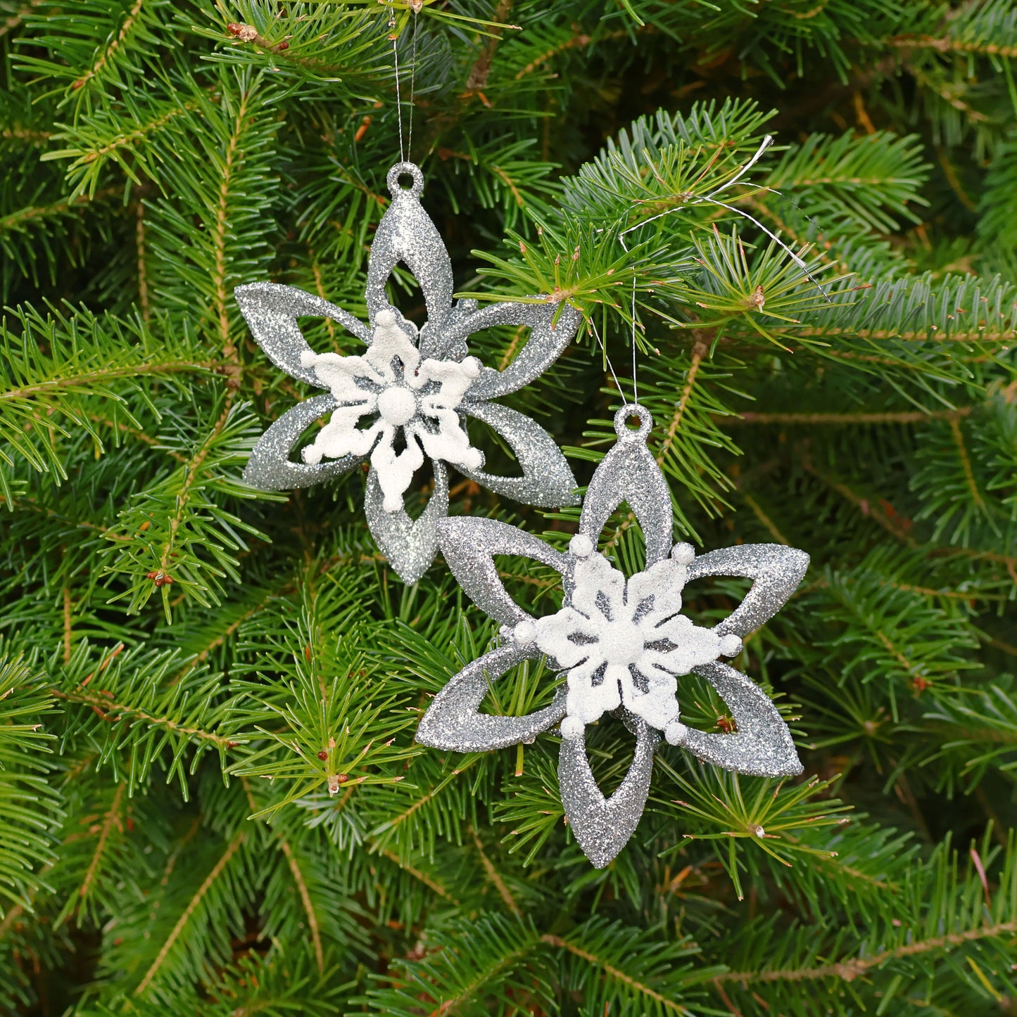 eda17fd3-89b8-42f6-b953-c6d1eb58fcd2 (1).jpg