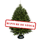 Sapin de Noël Baumier