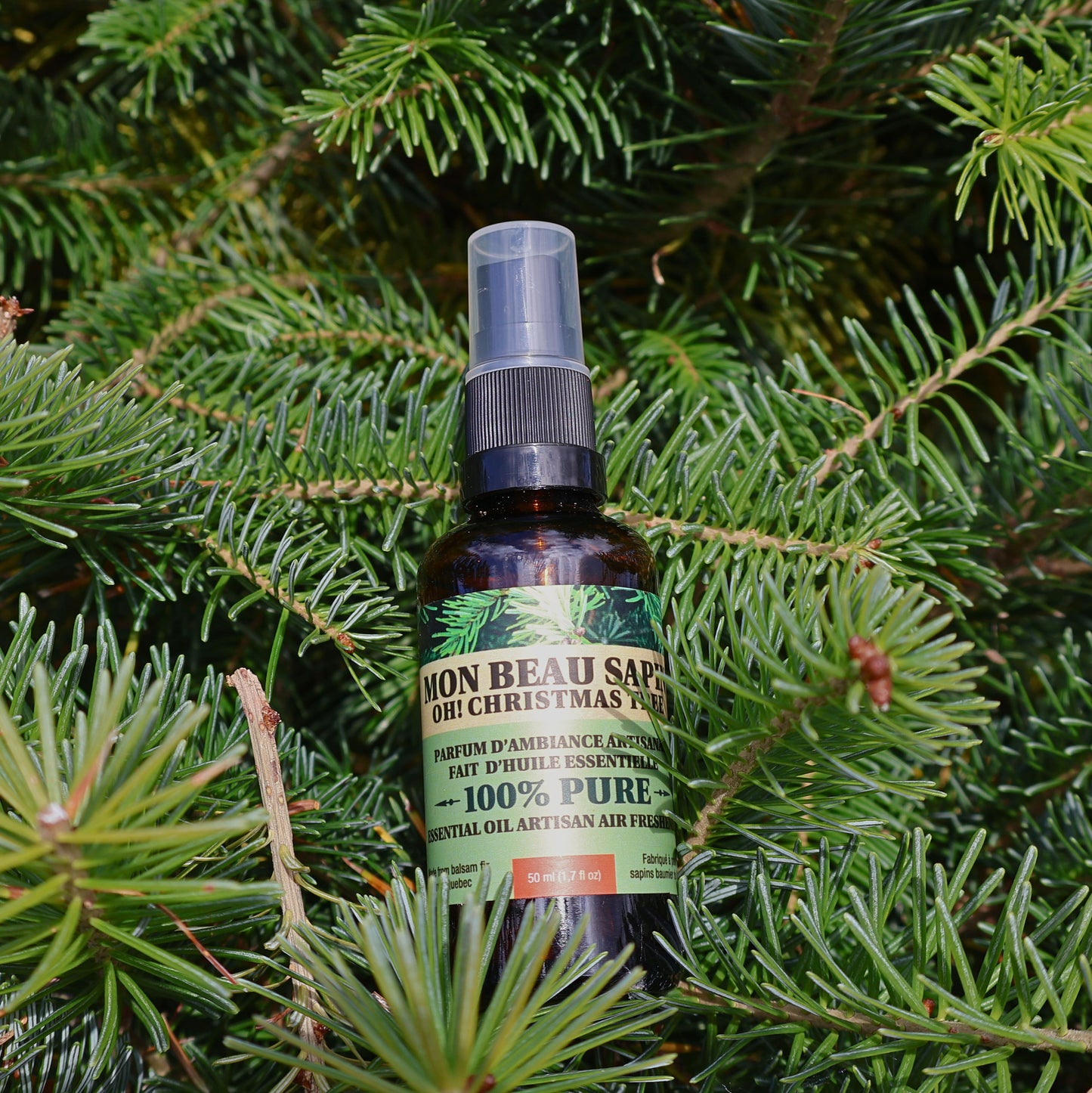 vaporisateur compressé.jpg