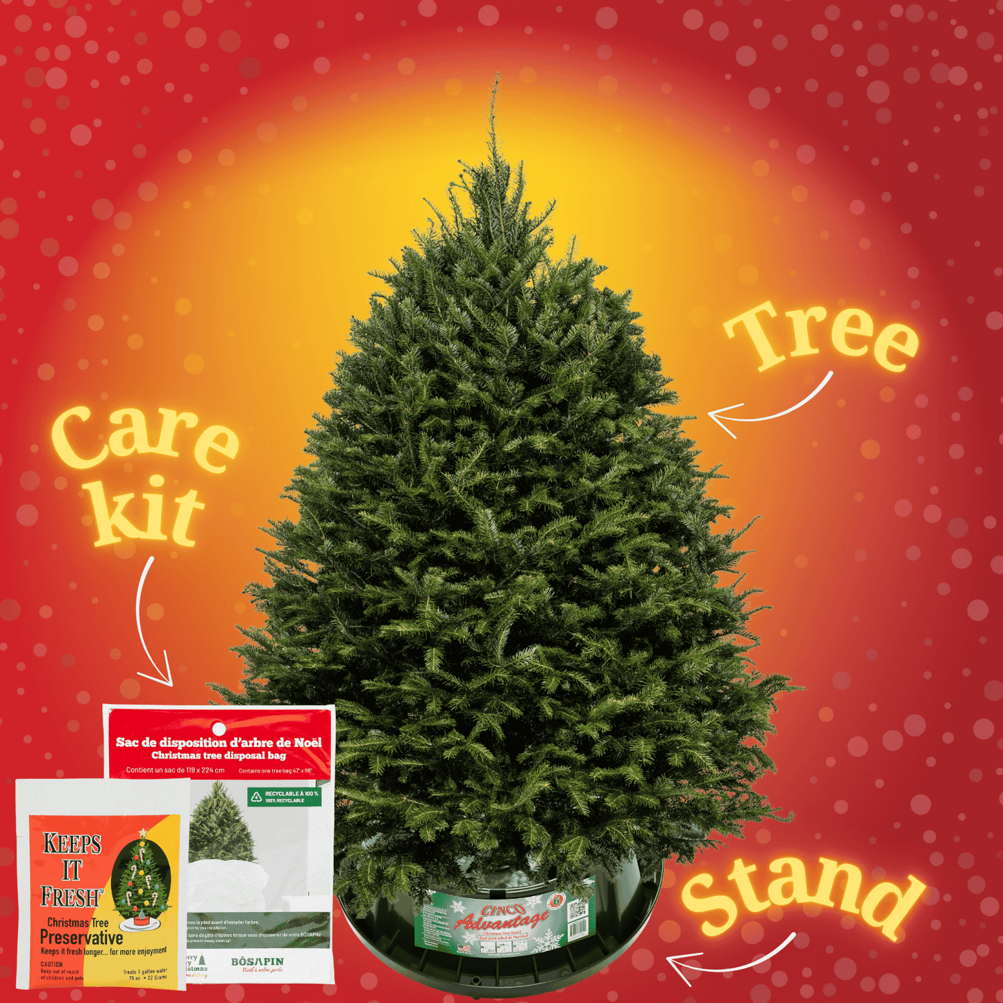 starter kit anglais.png