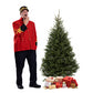 Sapin Fraser