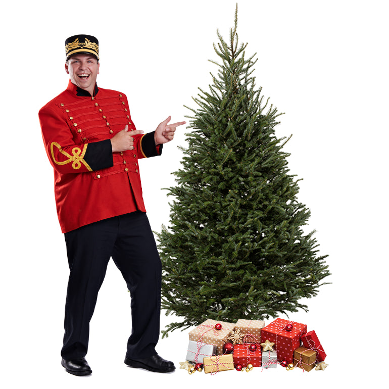 Sapin Fraser