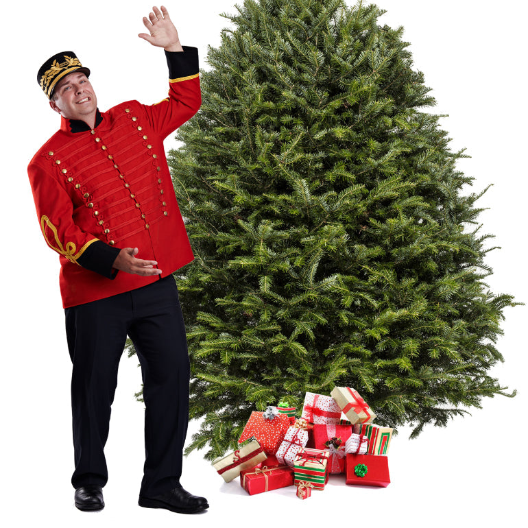 Sapin de Noël Baumier