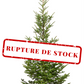 Wild Fir