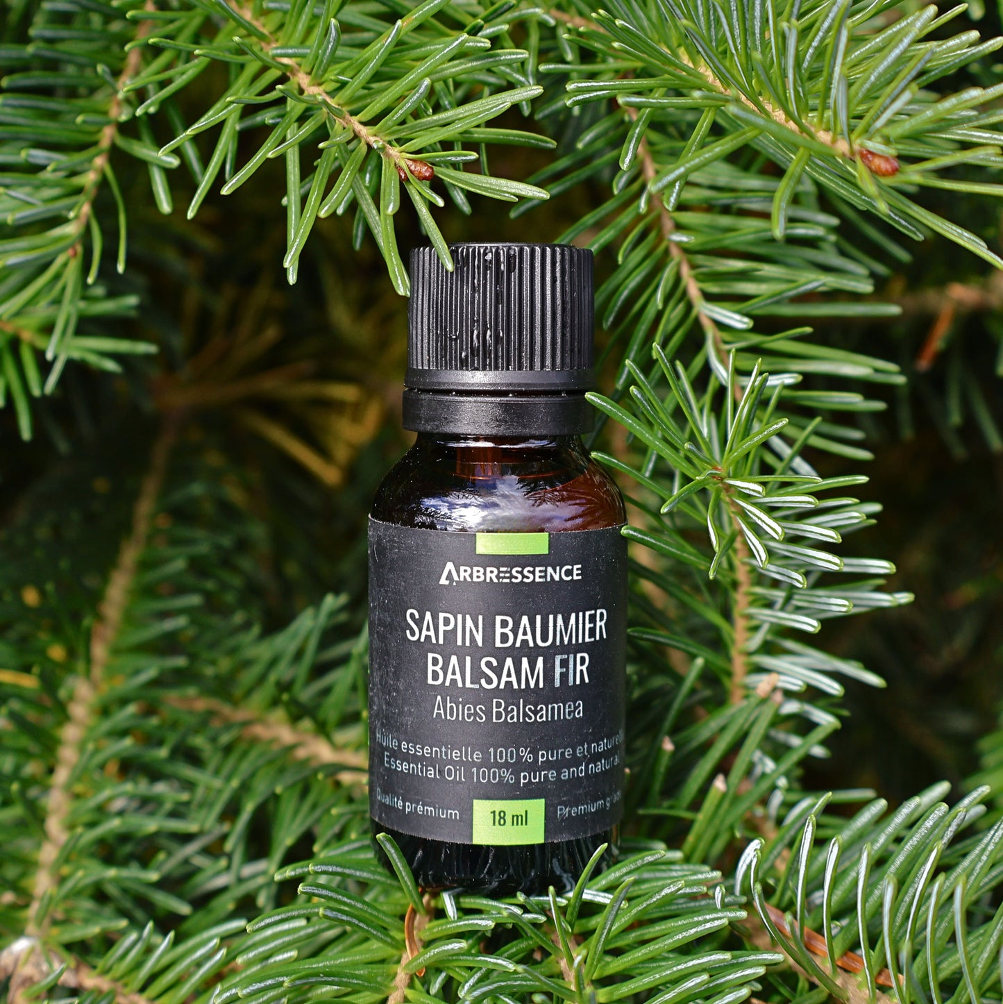 Balsam Fir Essential Oil – Arbressence, 18ml