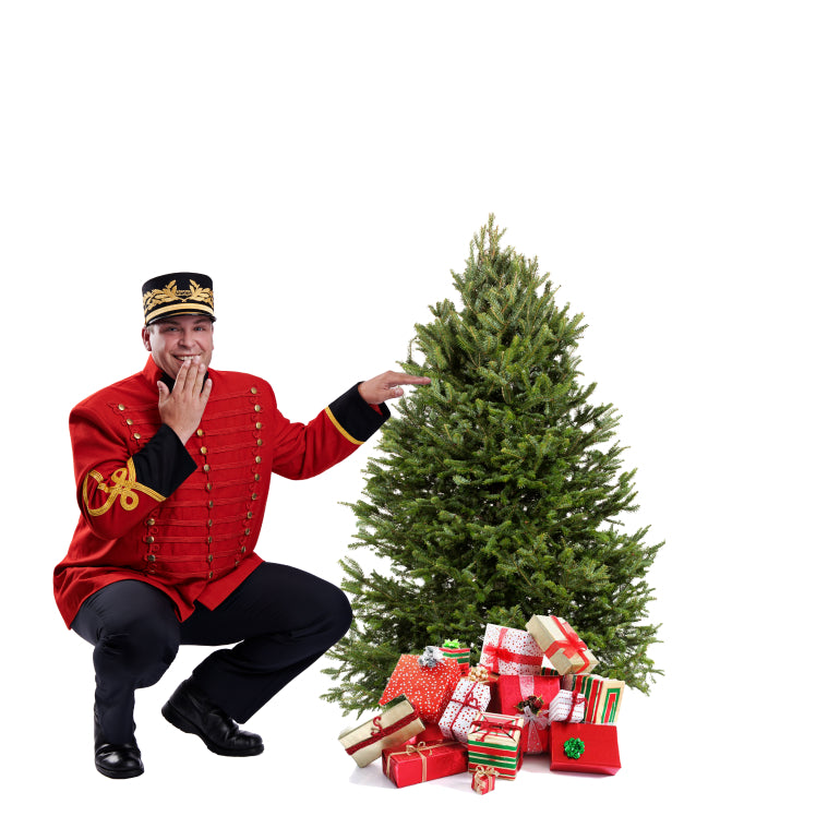 Balsam Christmas Tree