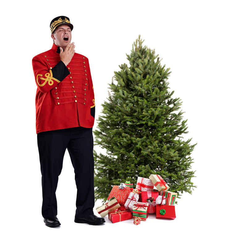 Balsam Christmas Tree