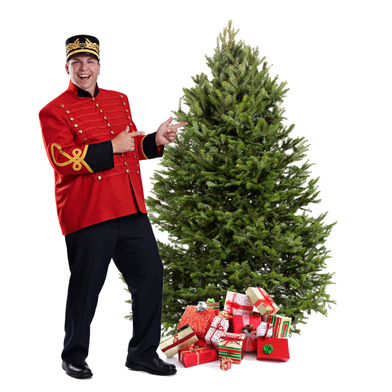 Balsam Christmas Tree