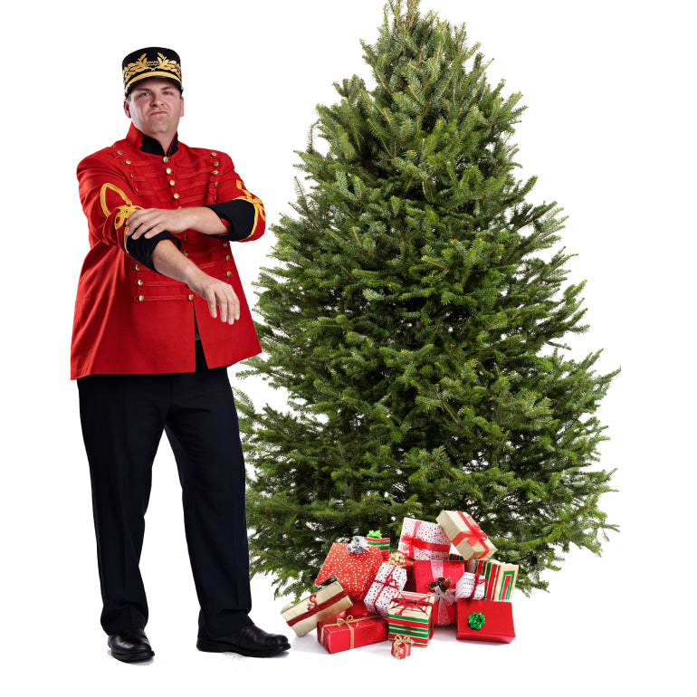 Balsam Christmas Tree