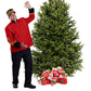 Balsam Christmas Tree