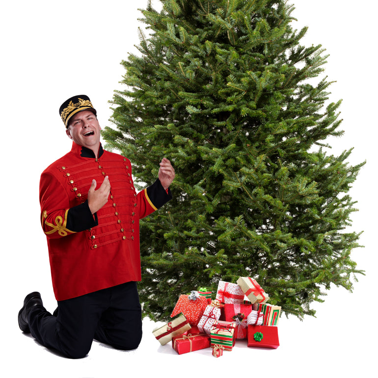 Balsam Christmas Tree