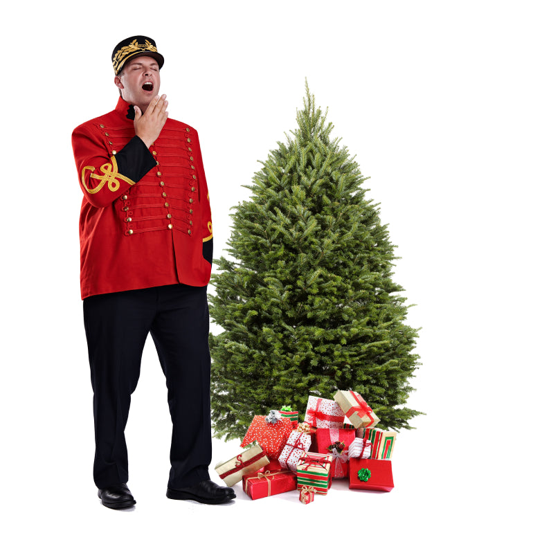Balsam Christmas Tree