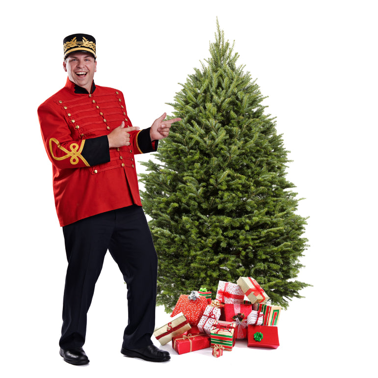 Balsam Christmas Tree