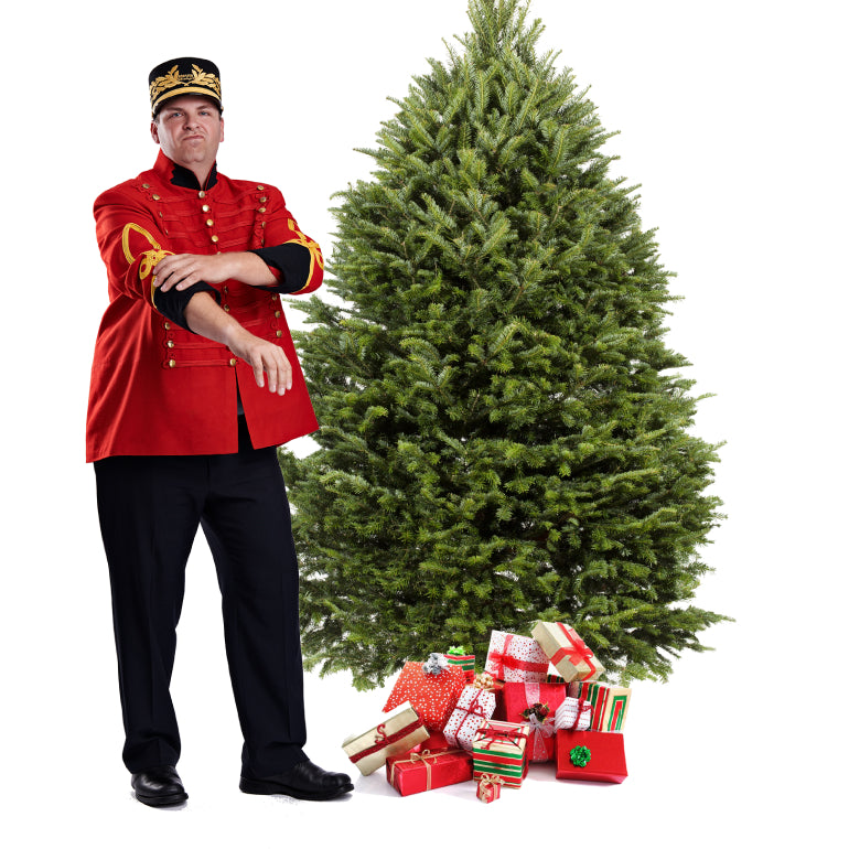 Balsam Christmas Tree