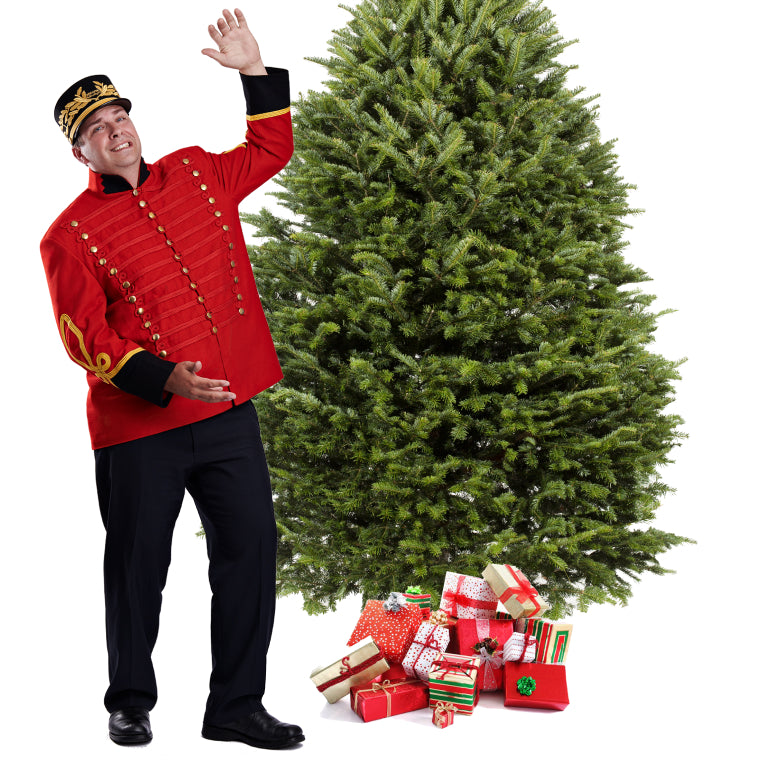 Balsam Christmas Tree
