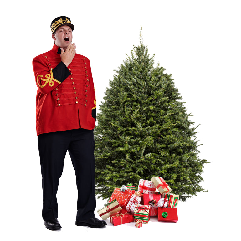 Balsam Christmas Tree