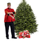 Balsam Christmas Tree