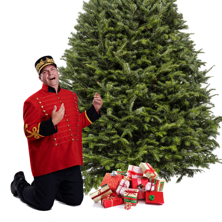Balsam Christmas Tree